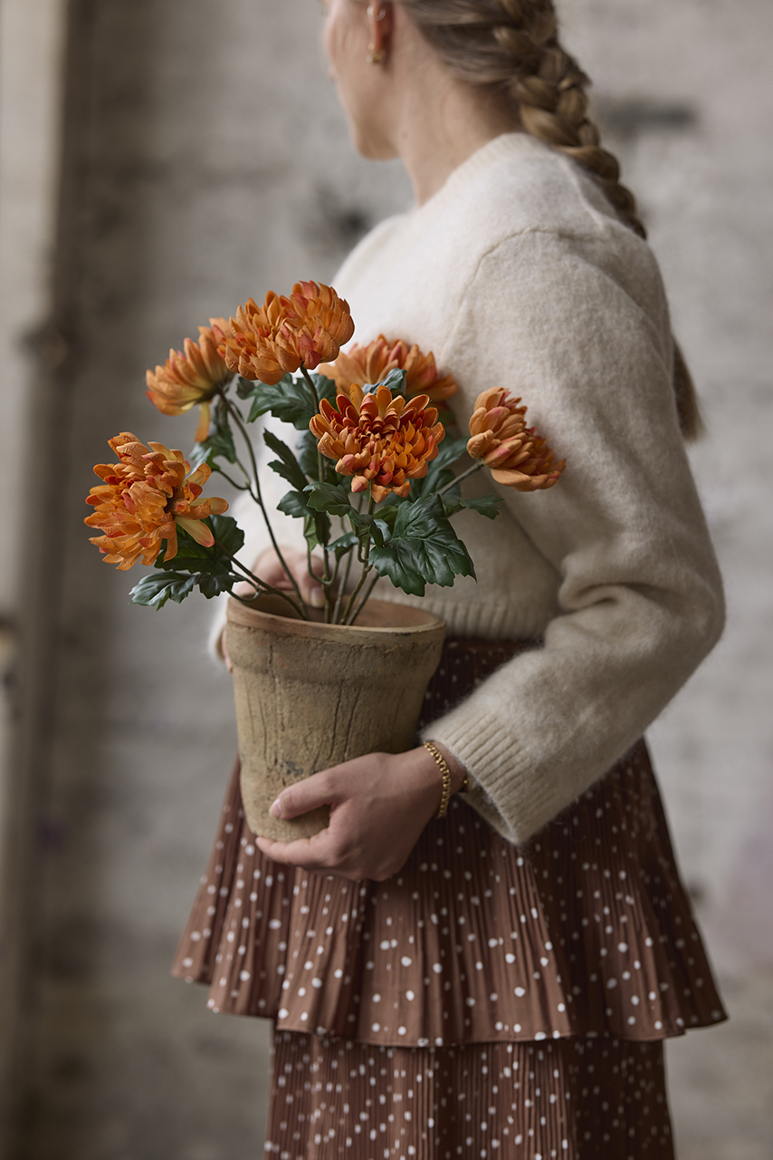 /images/imagebankSeasons/small/Mr Plant AW24/3508-35-1.jpg